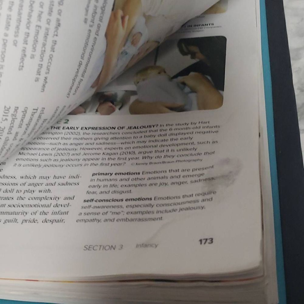 Life Span Development 16e Loose Book - Picture 5 of 5